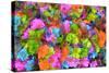 Flower collage-Tom Kelly-Stretched Canvas