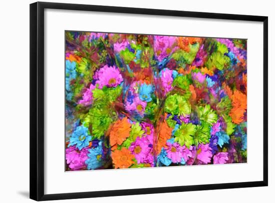 Flower collage-Tom Kelly-Framed Giclee Print