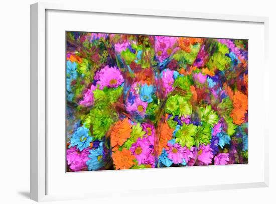 Flower collage-Tom Kelly-Framed Giclee Print