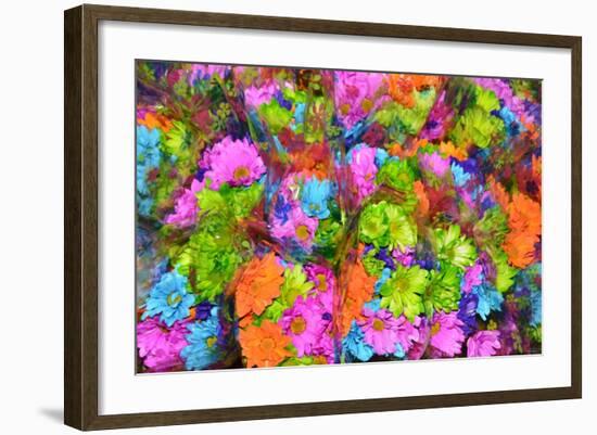 Flower collage-Tom Kelly-Framed Giclee Print