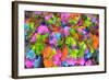 Flower collage-Tom Kelly-Framed Giclee Print