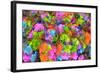 Flower collage-Tom Kelly-Framed Giclee Print