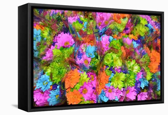 Flower collage-Tom Kelly-Framed Stretched Canvas