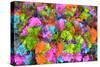 Flower collage-Tom Kelly-Stretched Canvas