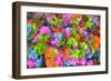 Flower collage-Tom Kelly-Framed Giclee Print