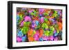 Flower collage-Tom Kelly-Framed Giclee Print