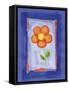 Flower Colors 01-Maria Trad-Framed Stretched Canvas