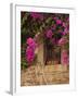 Flower-Covered Buildings, Old Town, Ciudad Monumental, Caceres, Spain-Walter Bibikow-Framed Photographic Print