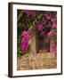 Flower-Covered Buildings, Old Town, Ciudad Monumental, Caceres, Spain-Walter Bibikow-Framed Photographic Print