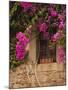 Flower-Covered Buildings, Old Town, Ciudad Monumental, Caceres, Spain-Walter Bibikow-Mounted Photographic Print