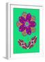 Flower cutout on green, 2020, (collage)-Jane Tattersfield-Framed Giclee Print