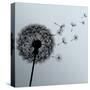 Flower Dandelion On Gray Background-silvionka-Stretched Canvas