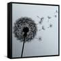 Flower Dandelion On Gray Background-silvionka-Framed Stretched Canvas