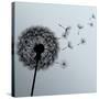Flower Dandelion On Gray Background-silvionka-Stretched Canvas