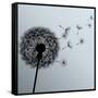 Flower Dandelion On Gray Background-silvionka-Framed Stretched Canvas