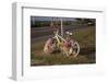 Flower-Decorated Bicycle-Andrea Haase-Framed Photographic Print