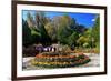 Flower Decoration in the Park of the Summer Residence of the 14th Dalai Lama-null-Framed Premium Giclee Print