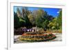 Flower Decoration in the Park of the Summer Residence of the 14th Dalai Lama-null-Framed Premium Giclee Print