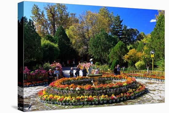 Flower Decoration in the Park of the Summer Residence of the 14th Dalai Lama-null-Stretched Canvas