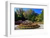 Flower Decoration in the Park of the Summer Residence of the 14th Dalai Lama-null-Framed Art Print