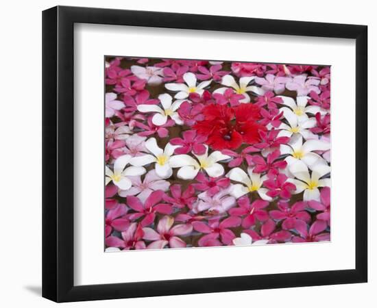 Flower Decoration, Udaipur, Rajasthan, India-Keren Su-Framed Photographic Print