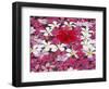 Flower Decoration, Udaipur, Rajasthan, India-Keren Su-Framed Photographic Print