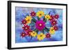 Flower Design 2Mz-Ata Alishahi-Framed Giclee Print