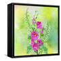 Flower Design H1C-Ata Alishahi-Framed Stretched Canvas