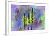 Flower Design H52-Ata Alishahi-Framed Giclee Print