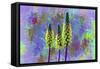 Flower Design H52-Ata Alishahi-Framed Stretched Canvas