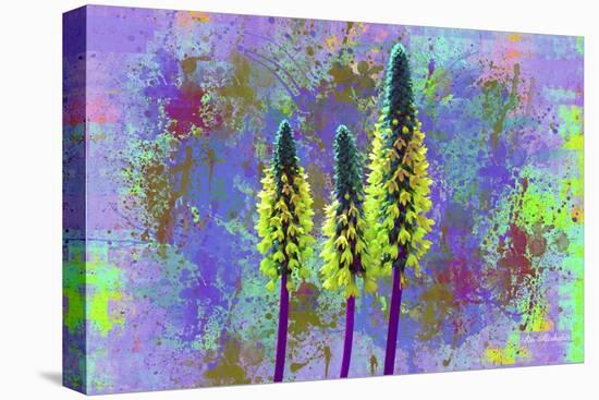 Flower Design H52-Ata Alishahi-Stretched Canvas