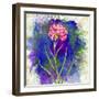 Flower Design Oc10-Ata Alishahi-Framed Giclee Print