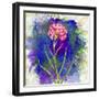 Flower Design Oc10-Ata Alishahi-Framed Giclee Print