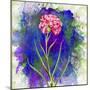 Flower Design Oc10-Ata Alishahi-Mounted Giclee Print