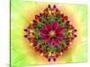 Flower Design Oc17-Ata Alishahi-Stretched Canvas