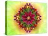 Flower Design Oc17-Ata Alishahi-Stretched Canvas