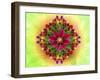 Flower Design Oc17-Ata Alishahi-Framed Giclee Print