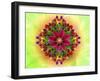 Flower Design Oc17-Ata Alishahi-Framed Giclee Print