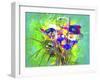 Flower Design Oc7-Ata Alishahi-Framed Giclee Print