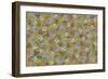 Flower Design-Maria Trad-Framed Premium Giclee Print