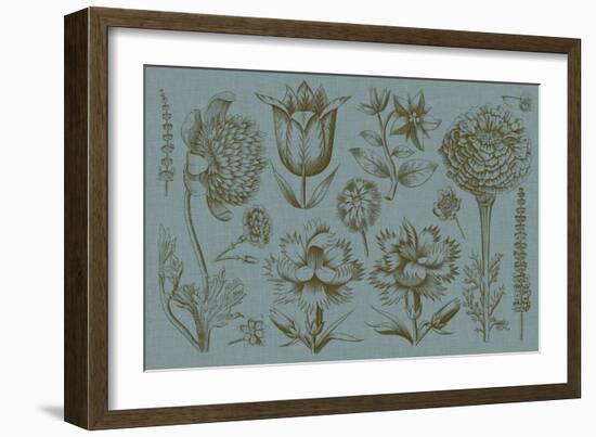 Flower Display II-Vision Studio-Framed Art Print