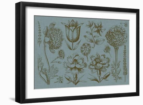 Flower Display II-Vision Studio-Framed Art Print