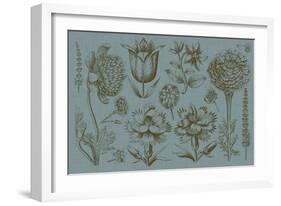 Flower Display II-Vision Studio-Framed Art Print