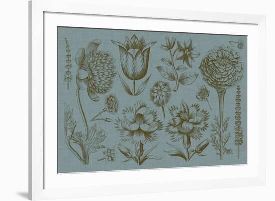 Flower Display II-Vision Studio-Framed Art Print