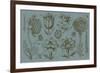 Flower Display II-Vision Studio-Framed Art Print