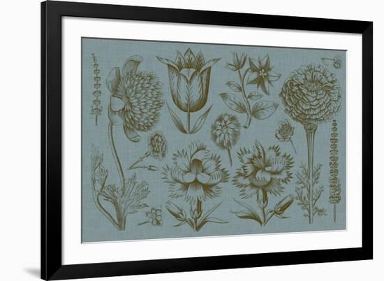 Flower Display II-Vision Studio-Framed Art Print