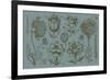 Flower Display II-Vision Studio-Framed Art Print