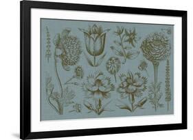Flower Display II-Vision Studio-Framed Art Print