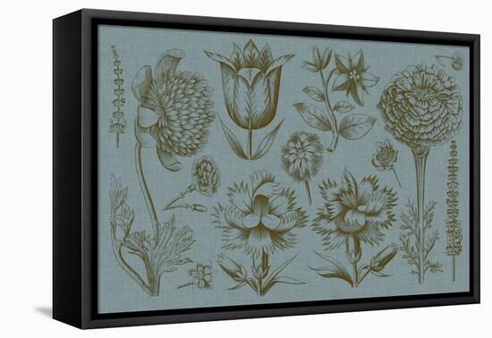 Flower Display II-Vision Studio-Framed Stretched Canvas