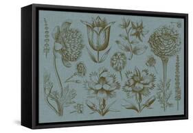 Flower Display II-Vision Studio-Framed Stretched Canvas